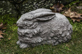 Photo of Campania Flemish Hare - Exclusively Campania